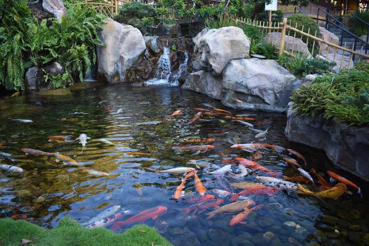 Création de plan d'eau Lélex